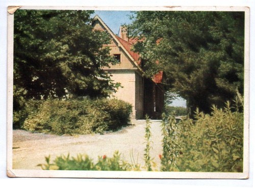 Chemnitz borna heilstätte - ak,