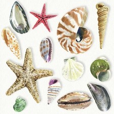 3 lose Servietten ~ Muscheln
