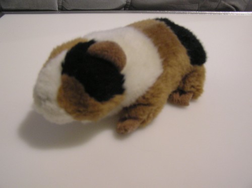 Plüschtier meeschweinchen - plüschtier,