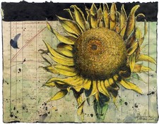 Andreas Noßmann Original -