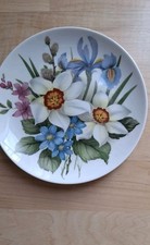 AK Kaiser Porzellan Wandteller