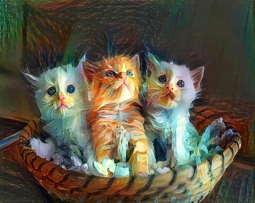 Abstrakte katzen bild poster - katzen,