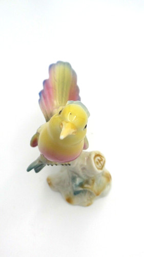 Vogel auf ast - ast, /