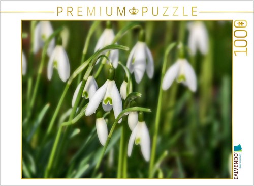 Calvendo puzzle - calvendo,
