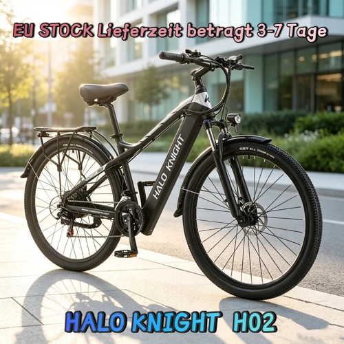 Elektrofahrrad city - 29'',