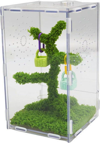 Springspinnen acryl terrarium - springspinnen,