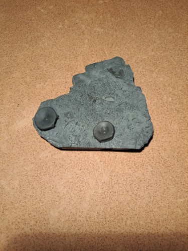 Ichthyosaurier wirbel auf - ichthyosaurier-wirbel,