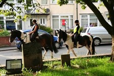 Foto 6x4 Eine Fahrt vorbei an