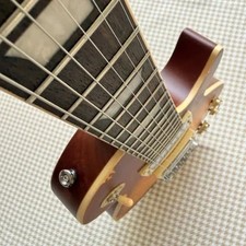 Custom Professional SG