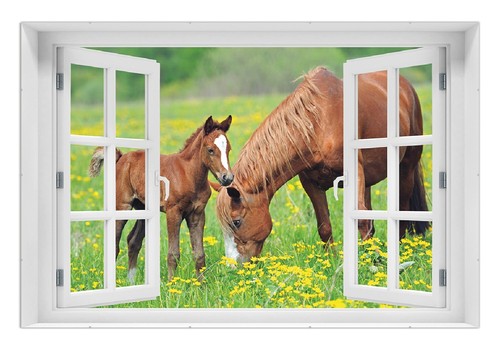 Wallario poster mit - poster,