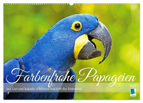 Farbenfrohe papageien - farbenfrohe,
