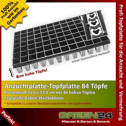 Topfplatte extrahoch eckig - topfplatte,