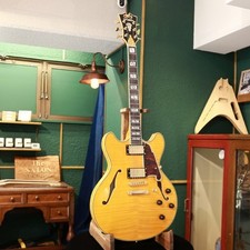 Gitarre dangelico excel dc - dangelico,