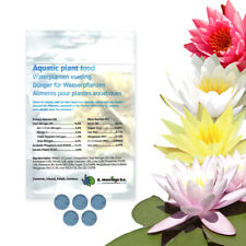 Seerose Zwergseerosen Nymphaea Teichpflanzen Set winterhart Seerosendünger Teich