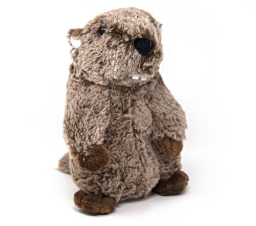 Kuscheltier murmeltier 17 - -,