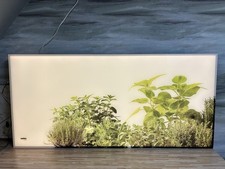 Nolte Glasnische Herbs beleuchtete Küchenrückwand