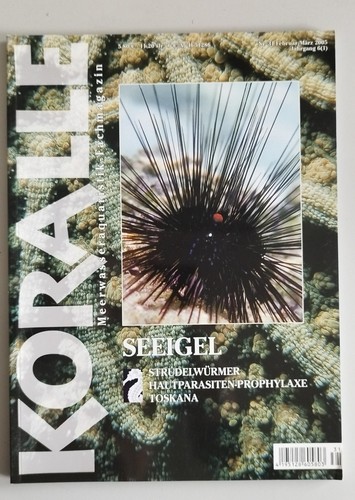 Koralle 31 seeigel - nr.,