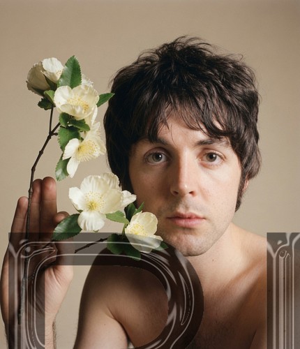 The beatles paul - the,