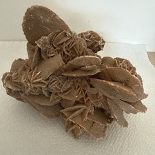 Grosse Sandrose Wüstenrose -