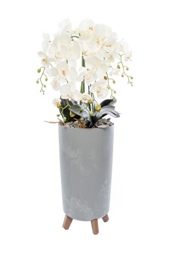 Künstliche orchideen mit - künstliche,