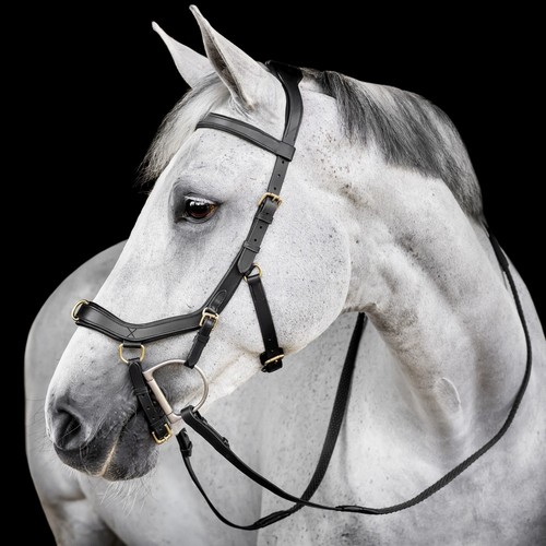 Horseware micklem multi trense - multi,