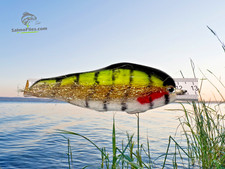 3 Premium-Streamer XXL