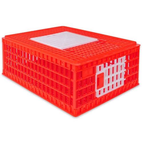 Geflügel transportbox huhn - geflügel,