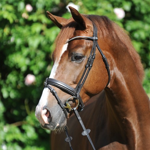 Kavalkade trense clinchesse - trense,