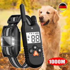 1000M Hund Ausbildung