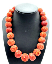 Prächtige Bambus Koralle