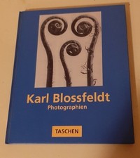 Karl blossfeldt - blossfeldt,