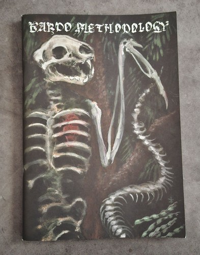 Bardo methodology 4 - bardo, #4