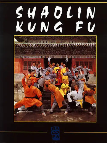 Shaolin kung bildband - fu,