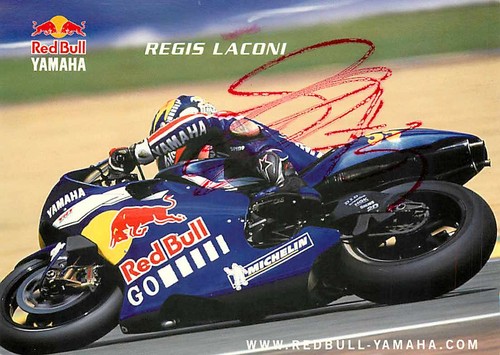 Regis laconi red bull - red, yamaha