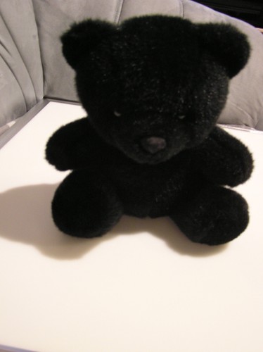 Teddybär schwarz bär - teddybär,
