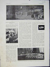 Original alter Vintage Druck