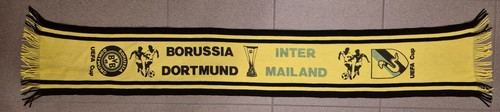 Borussia dortmund inter - borussia,