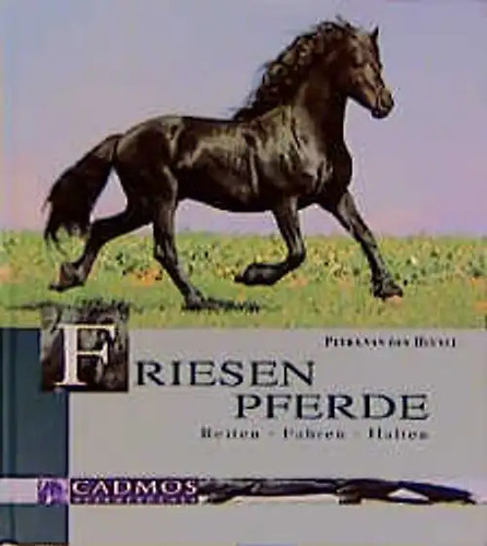Friesen pferde - friesen,