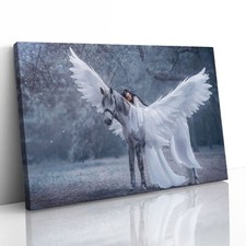 Mädchen auf einem Pegasus