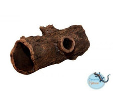 liegender Baumstamm mit zwei