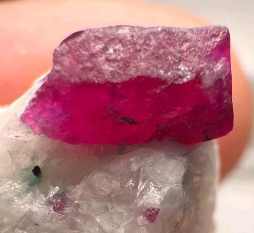 Wunderschöne rubin rot - 23, ct.