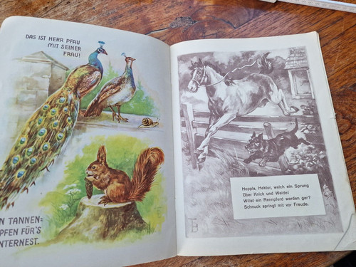 Altes bilderbuch für kinder - altes,
