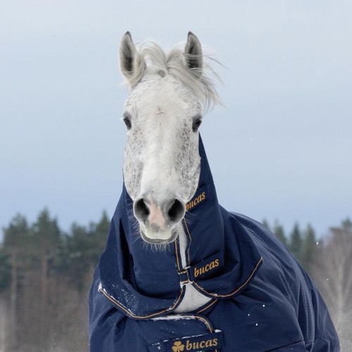 Bucas irish turnout combi - irish,