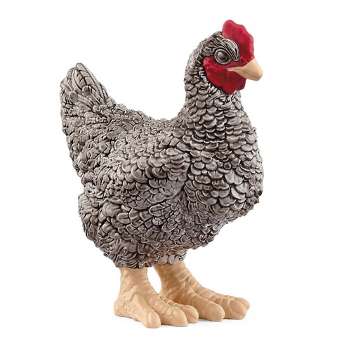 Plymouth rock huhn 13997 - huhn,