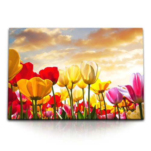 120x80cm wandbild auf leinwand - 120x80cm,