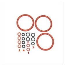 DeLonghi O-Ring Dichtung