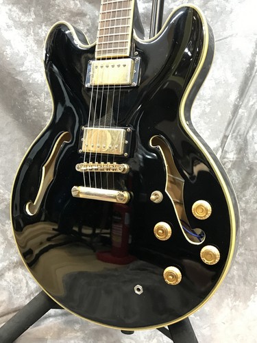 Epiphone sheraton pro - epiphone, ii