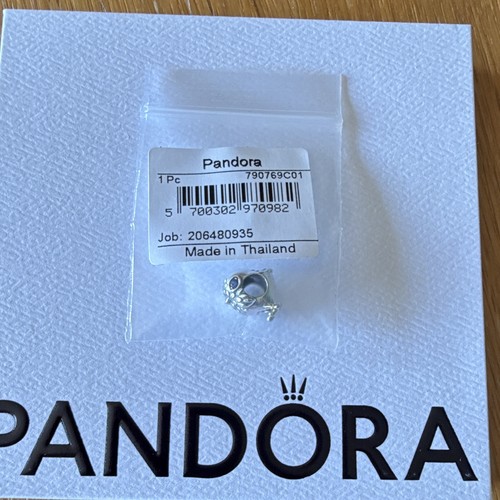 Pandora charm anhänger - charm,
