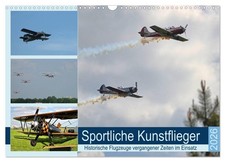 Sportliche Kunstflieger (Wandkalender 2026 DIN A3 quer), CALVENDO Monatskalender