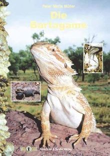 Die bartagame pflege und - die,